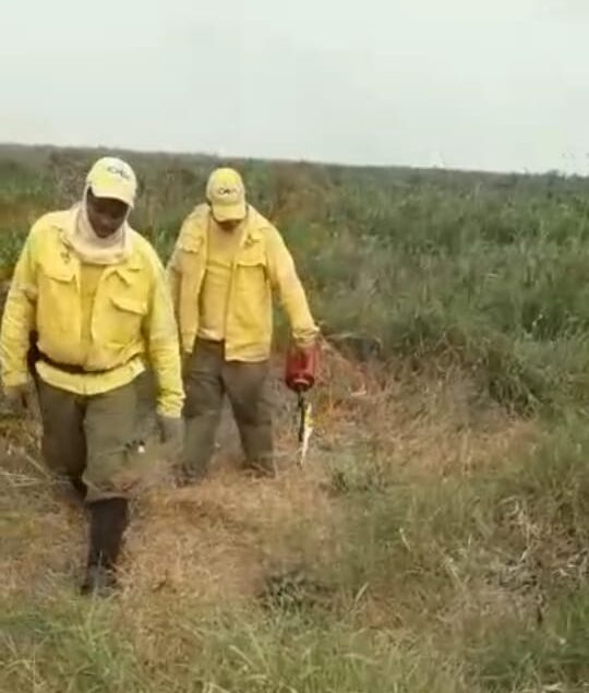 Vídeo de brigadistas do ICMBio colocando fogo na mata é medida para combater incêndio no Pantanal