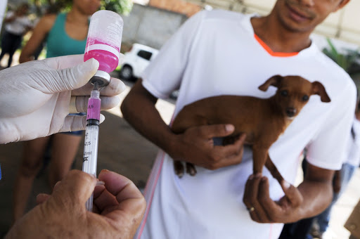 Vacinação contra raiva neste sábado (05) na zona Norte