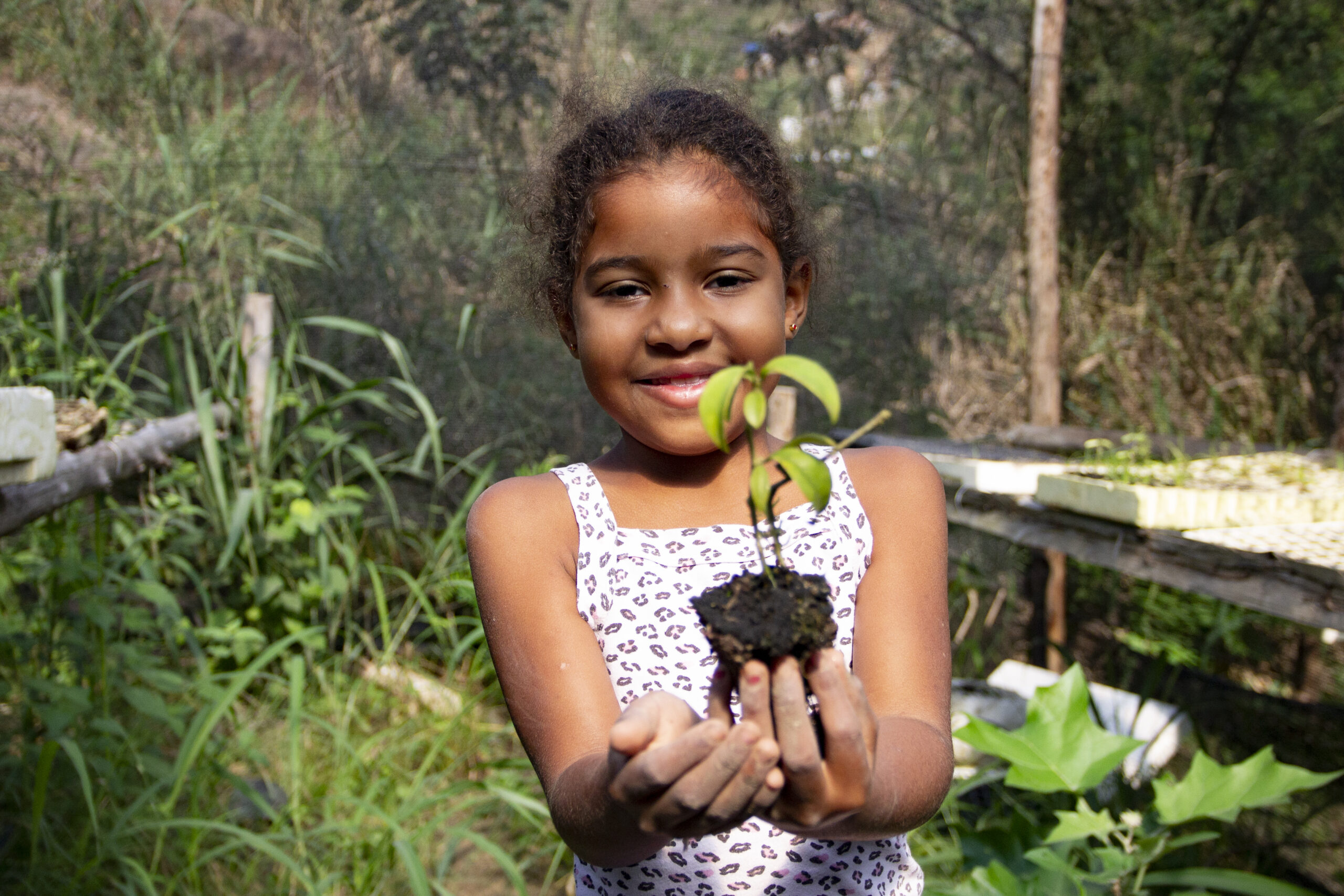Projeto de agroecologia integra educação e segurança alimentar na Penha